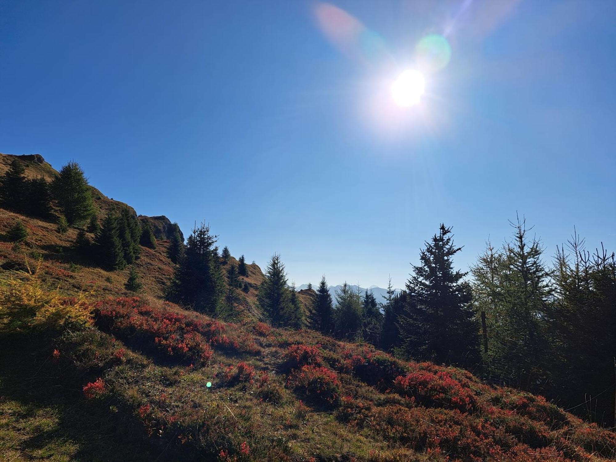 Apart Am Brunnen Ried im Oberinntal Kültér fotó