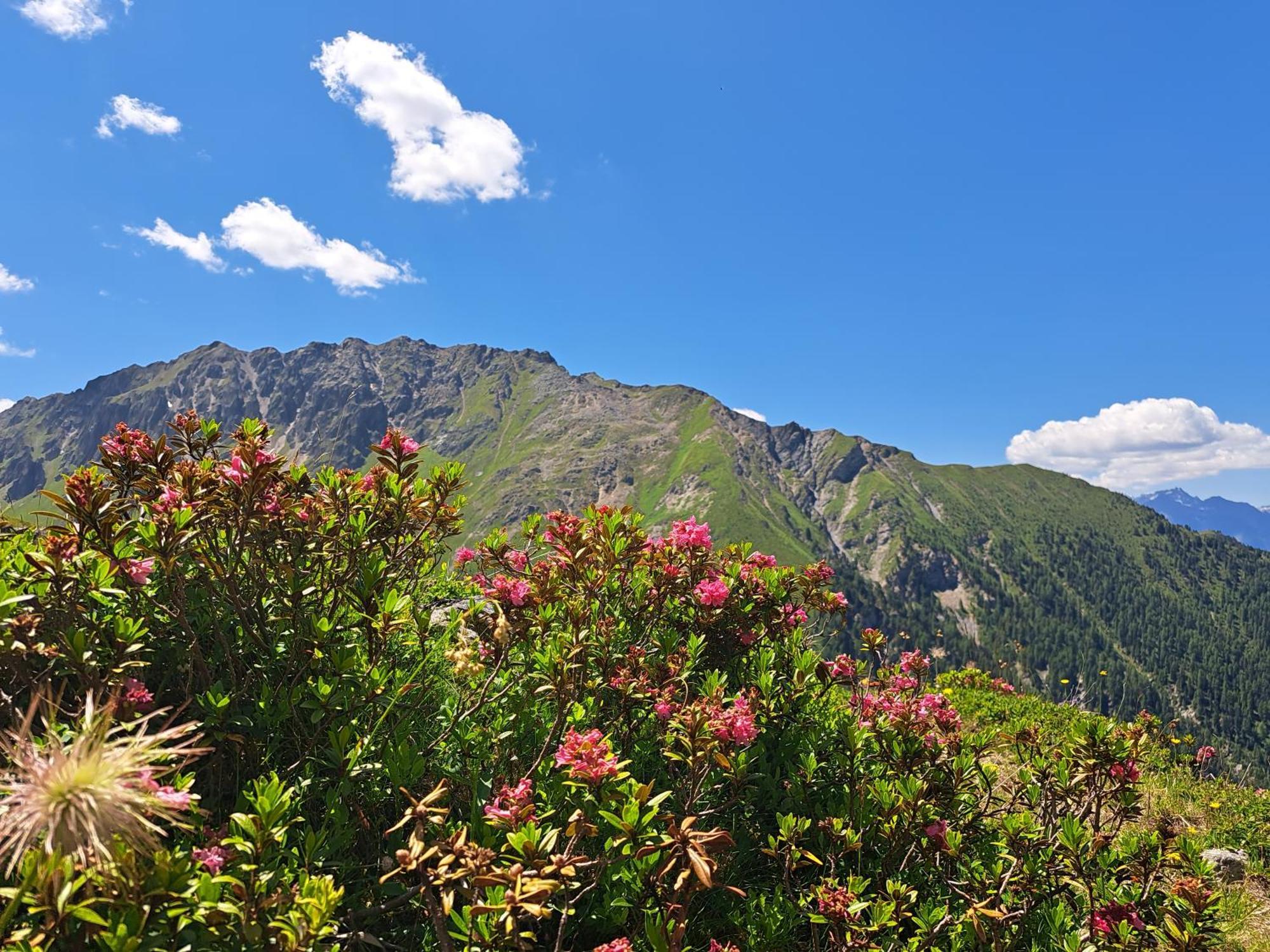 Apart Am Brunnen Ried im Oberinntal Kültér fotó